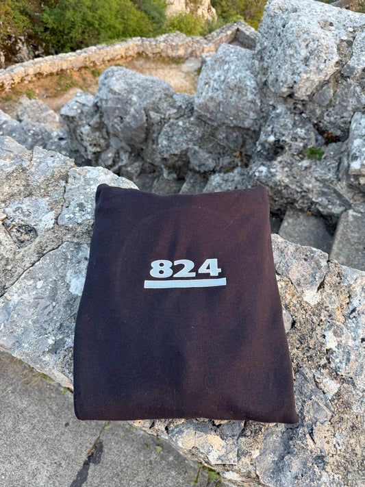 Hoodie 824